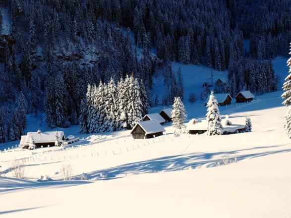 Hintersteineralm 1020m