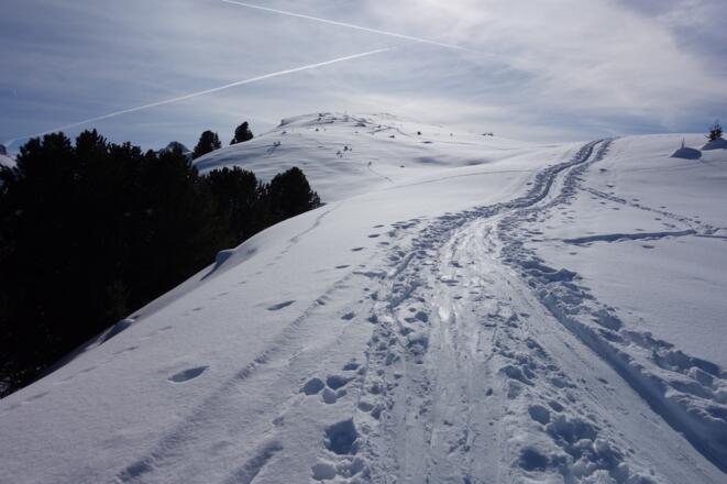 Vom Figl nach Salfeins