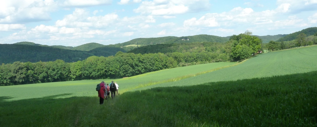 Feld und Flur vor Reckenberg