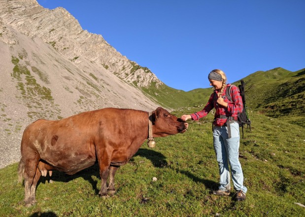 Begegnung am Aufstieg zum Sommerbergjöchl (hinten)