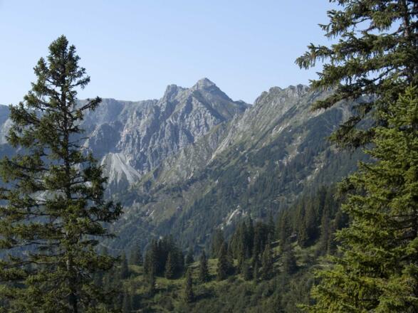 Der markante Gipfel der Schöttelkarspitze überragt den Bergwald.