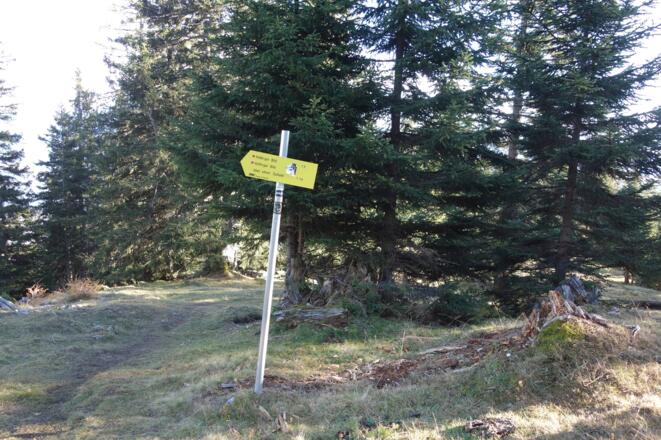 Abstieg Richtung Höttinger Alm