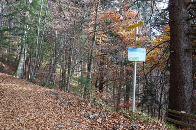 Abzweigung Richtung Rauschbrunnen