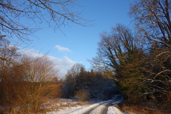 Auf dem Weg von Münster nach Steinach