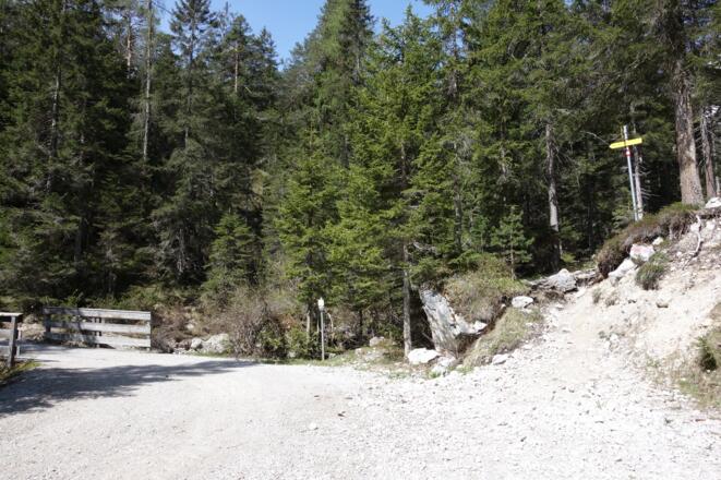 hier links über die Brücke