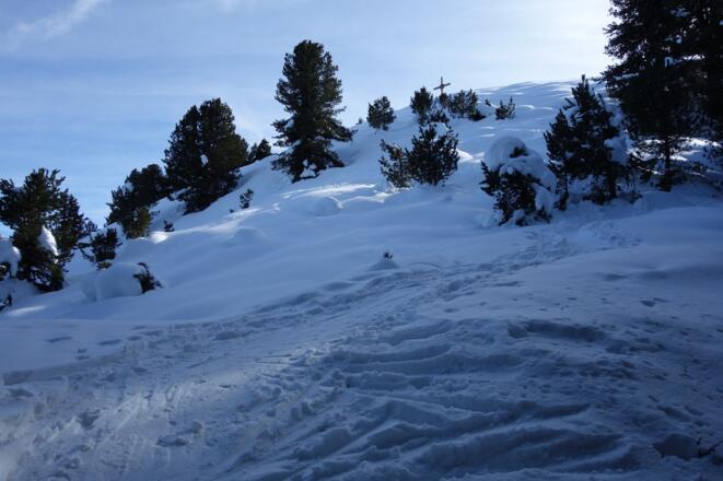 lichter Zirbenwald im letzten Abschnitt