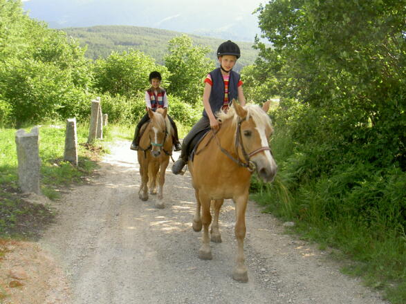 Reitausflug um den Tharerhof