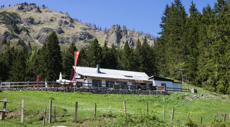 Stallburgalm - Weyer