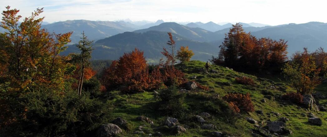 Herbststimmung, Bergwiesen, ... Das Panorama reicht bis zum Großvenediger.