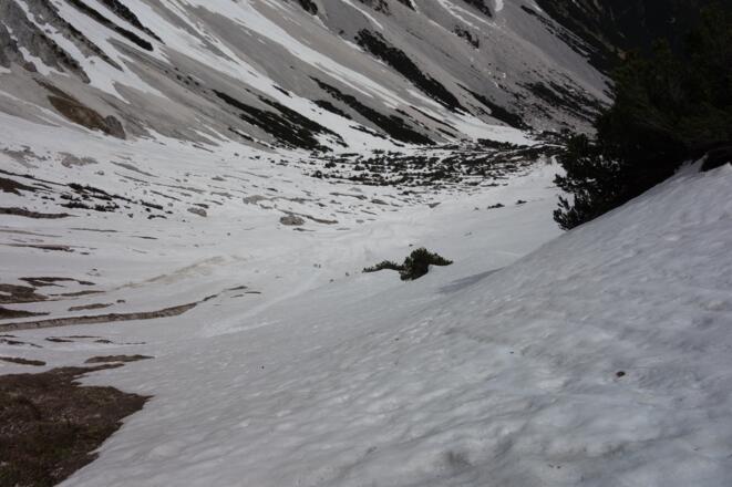 im Frühjahr schöne Figltour