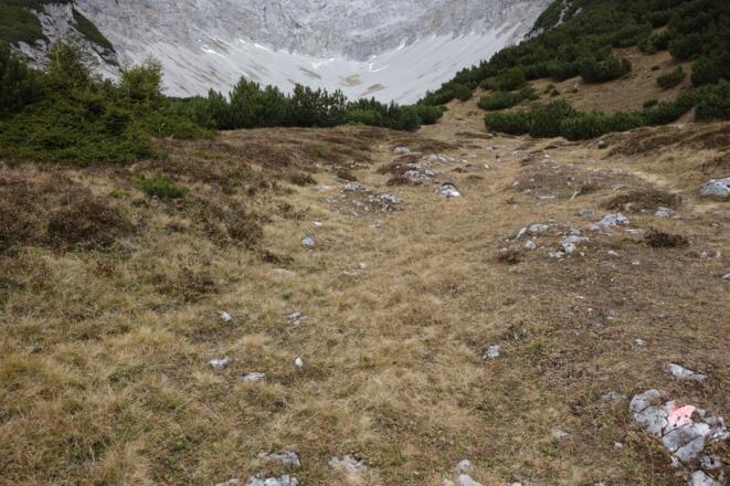 im Schneekar den Markierungen nach