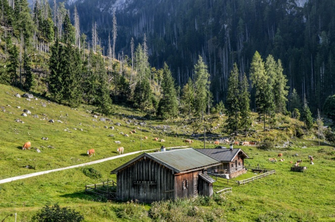 Die Gotzentalalm