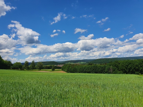 Blick auf das Rauhe Ebrach Tal