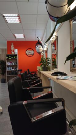 Einzigartig Hairvision