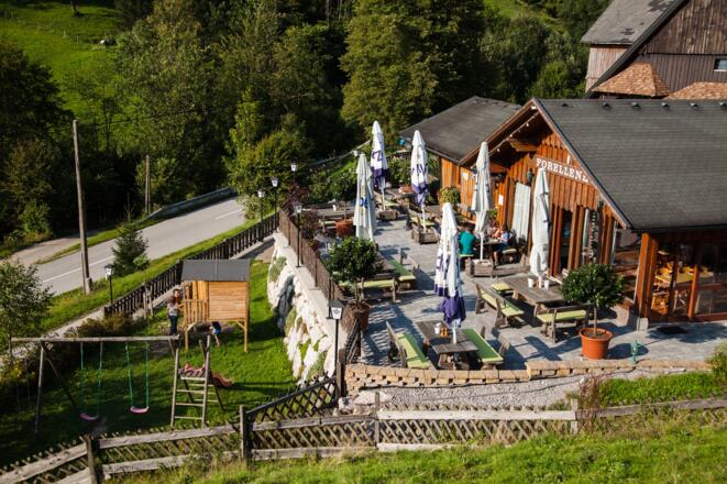 Gasthof Forellenhof - Laussa