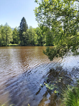 Schönauere Weiher bei Bad Heilbrunn