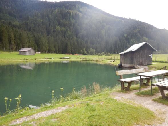 Forellenteich in Gosau