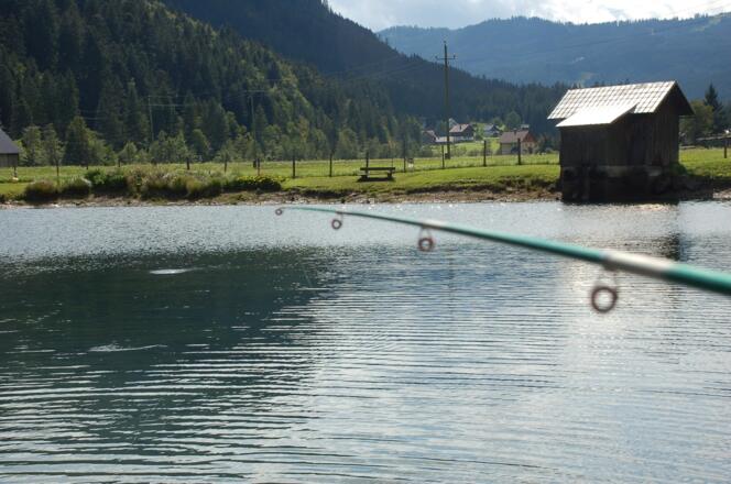 Forellenteich Gosau