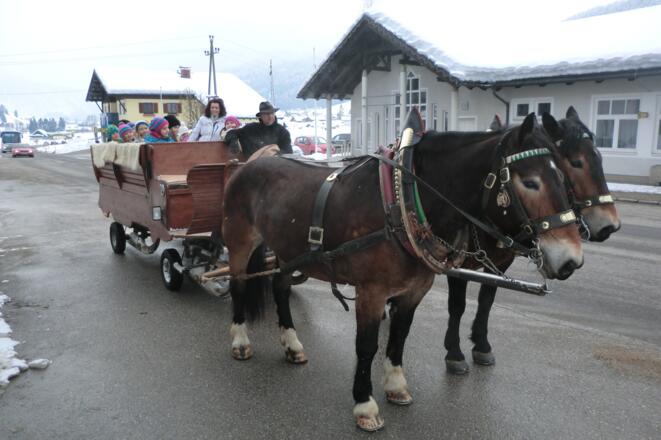 Pferdeschlittenfahrt mit Kindern