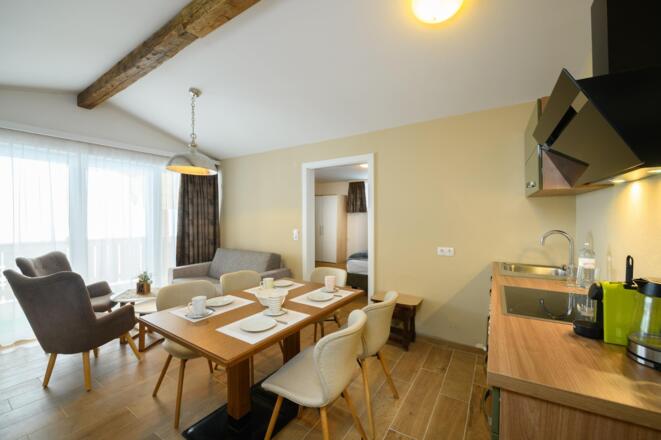 Apartment Lindenblüte Wohnraum mit Küche1