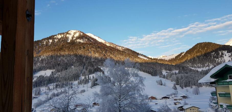 IMG-20190117-WA0005
