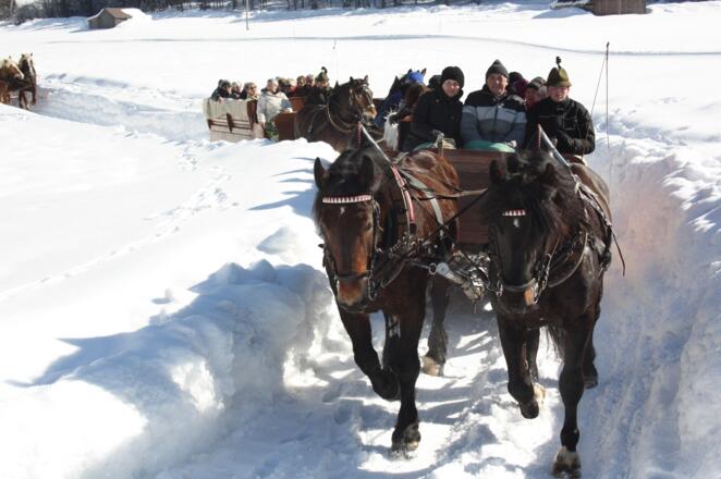Pferdeschlittenfahrten für Gruppen
