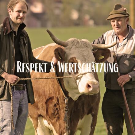 Respekt & Wertschätzung