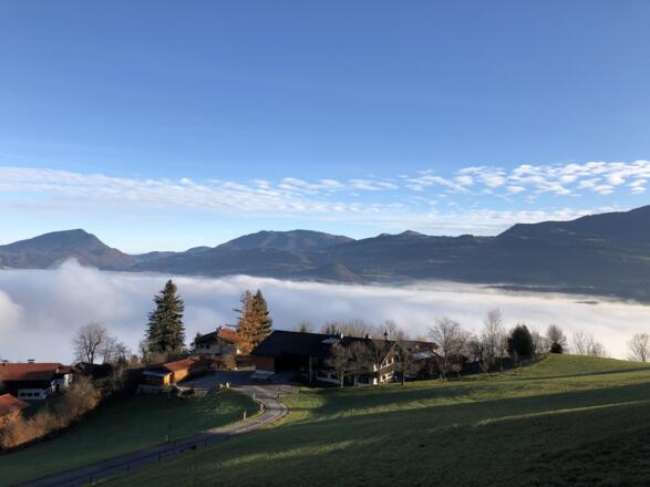 Kailgut Bild