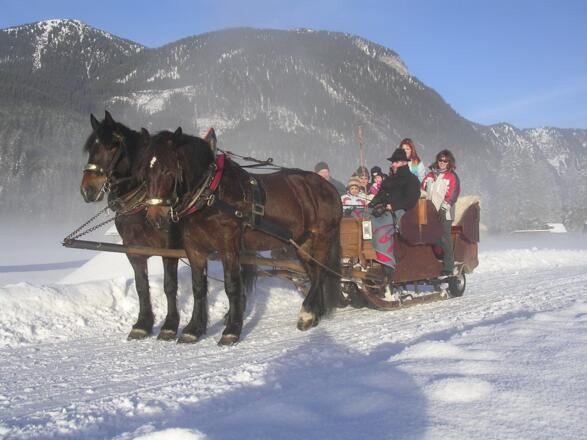 Pferdeschlittenfahrt in Gosau am Dachstein