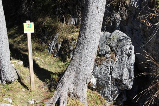 Glücksplatz Wildfrauenloch