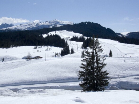 Das Skigebiet auf der Winklmoosalm