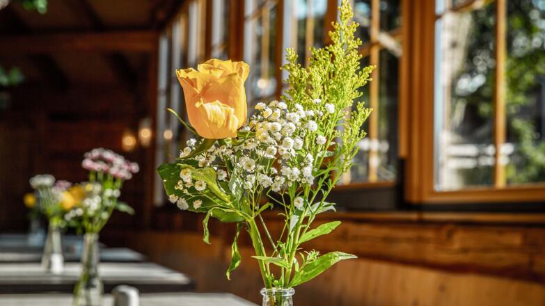 Voralpenhotel Schmoller Berg im Attergau