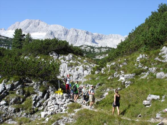 Dachstein Eishöhle