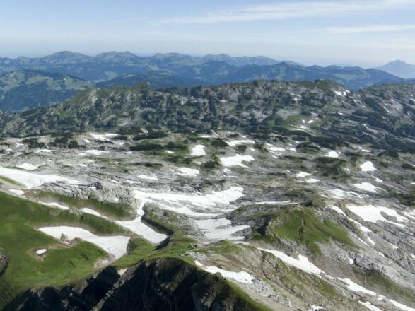 Das weite Gottesackerplateau ist ein großartiges Blumenrevier.