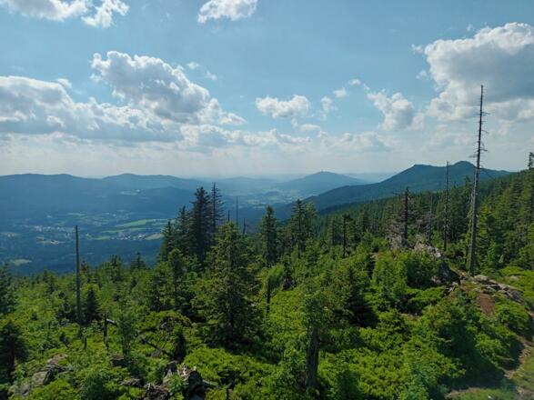 Lamer Winkel und Ossergifpel vom Lohberger Riegel
