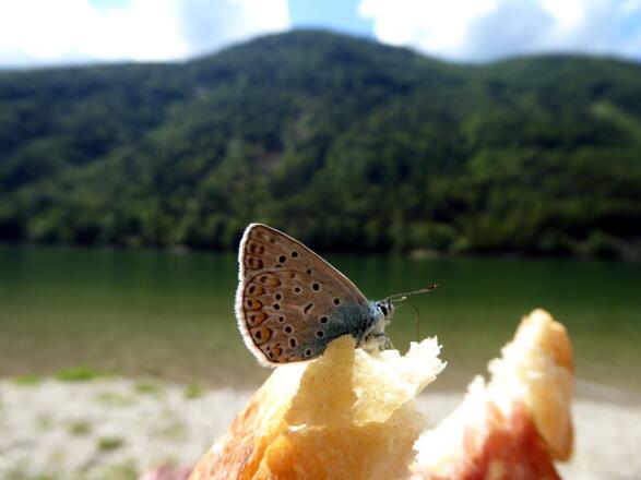 Brotzeit am Hintersee.
