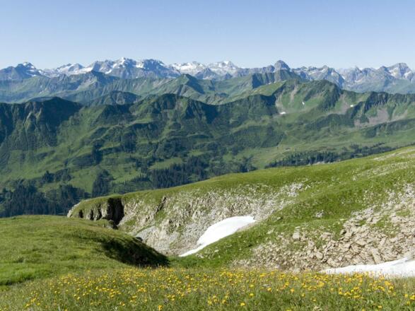 Das letzte Stück des Anstiegs fällt flach aus.