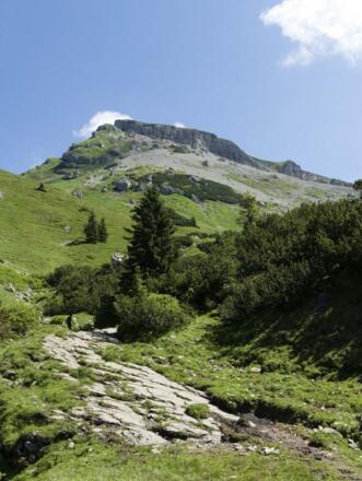 Rückblick zum Gipfel des Hohen Ifens
