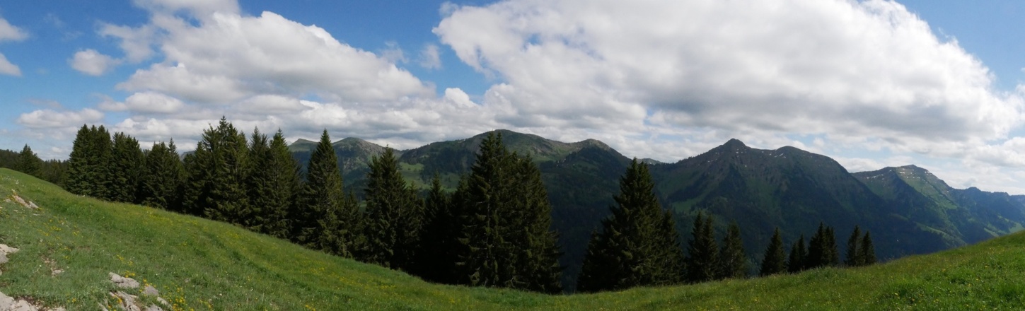 Panorama der Nagelfluhkette von Norden