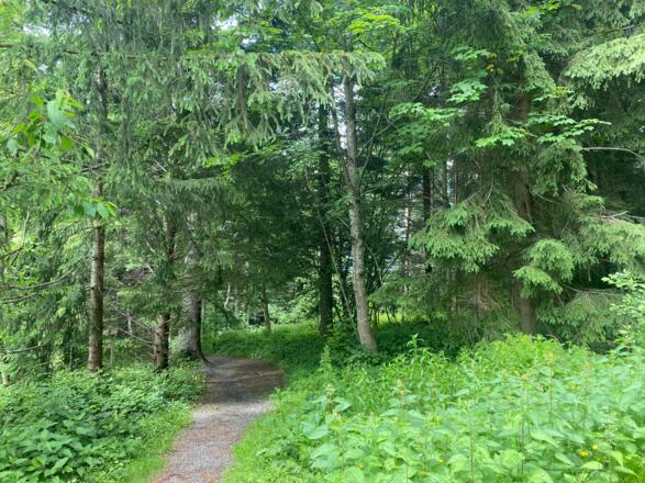 Fitnessparcours Sulzberg