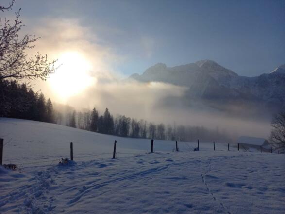 Abtenau im Winter