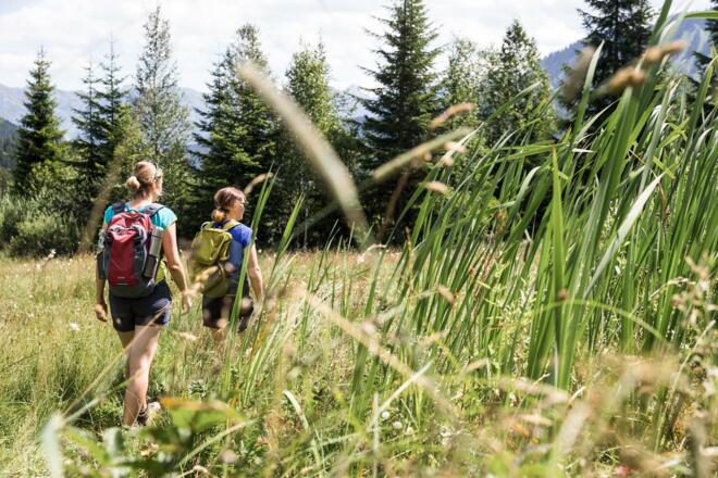 Einzigartiges Hochmoor am Hörnlepass