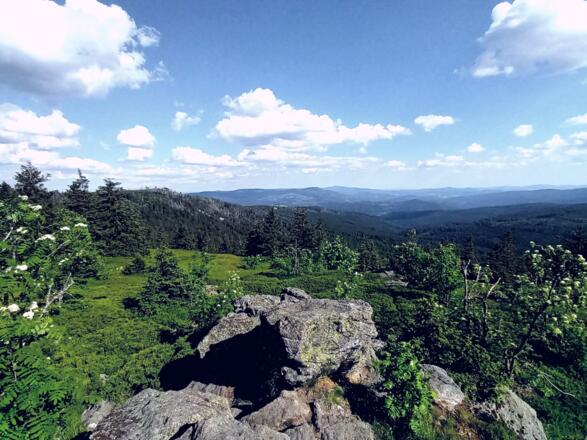 Panorama vom Zwerck mit Gr. Falkenstein und Rachel