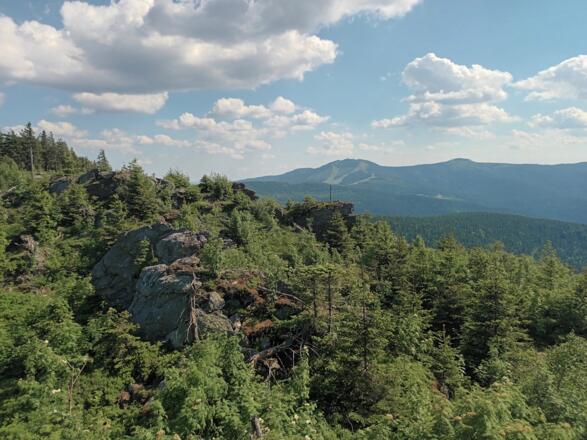 Arbergipfel vom Lohberger Riegel