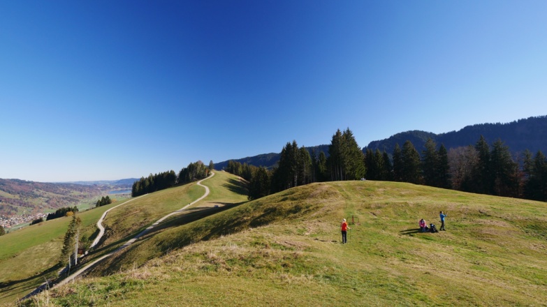 Die Landschaft rund um den Hündlekopf