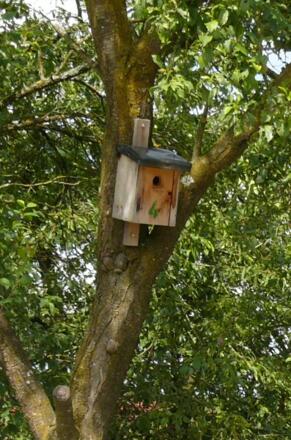 Weg der Vögel Igersheim - liebevoll gezimmerte Nistkästen säumen den Weg
