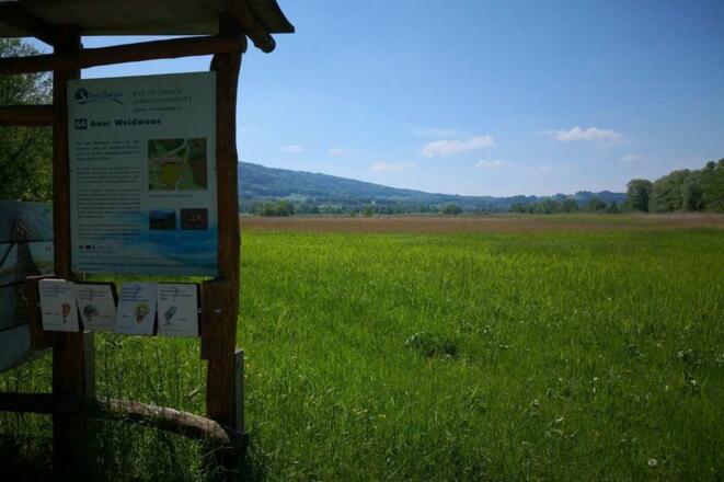 Naturschutzgebiet Auer Weidmoos bei Bad Feilnbach