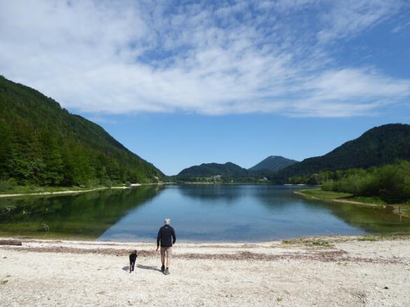 Am Südufer des Hintersees.