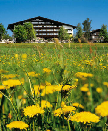 Hotel Lohninger- Schober