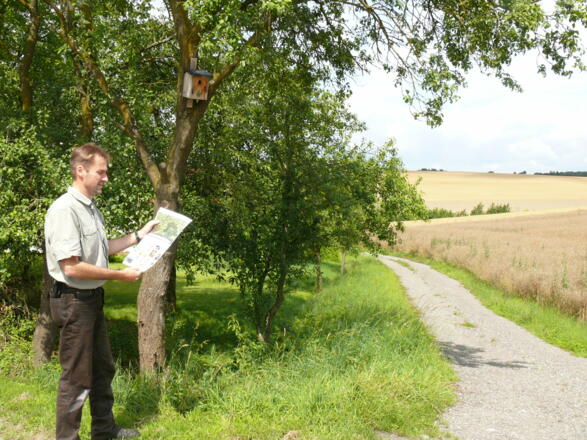 Weg der Vögel Igersheim - ein Rundweg durch alle Gemarkungen Igersheims